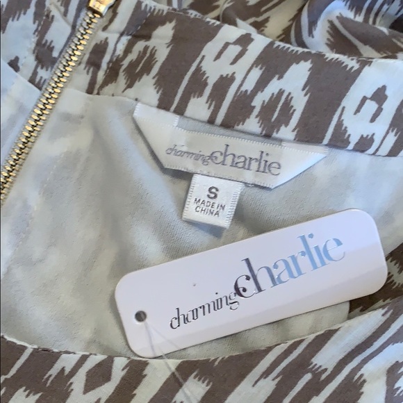 NWT Sleeveless Charming Charlie Dress - Picture 7 of 8